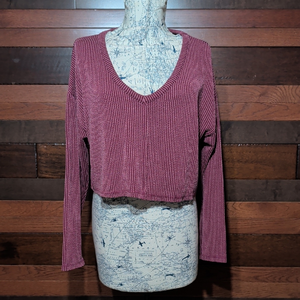 Originality V-Neck Ribbed Knit Crop Top